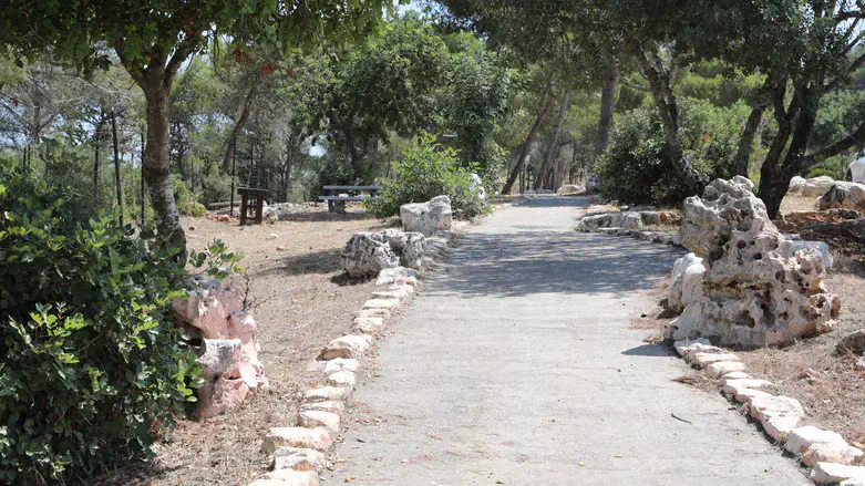 טיילת נוף הגליל