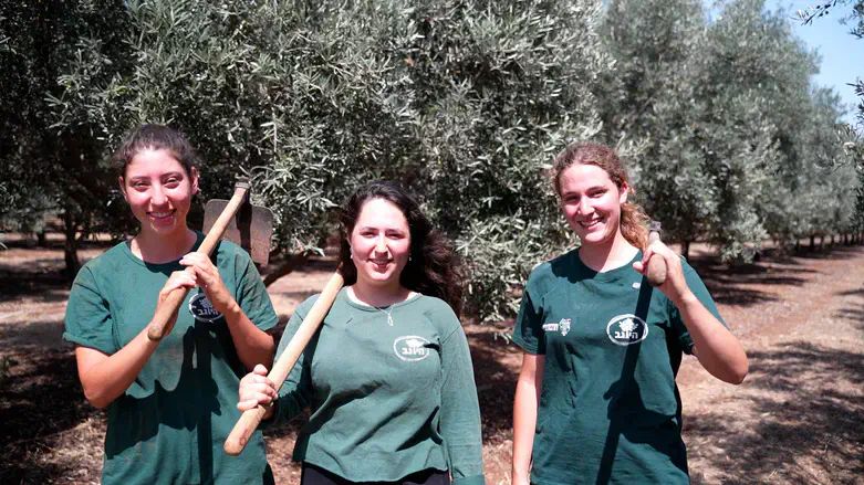 מתנדבות השירות הלאומי בענף החקלאות