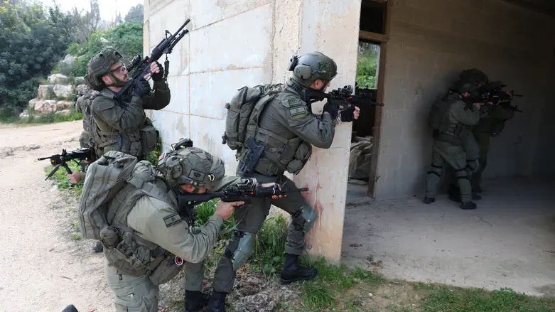 לוחמי צה"ל
