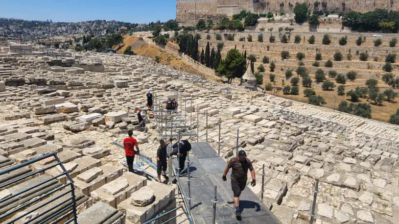 ההכנות להילולה