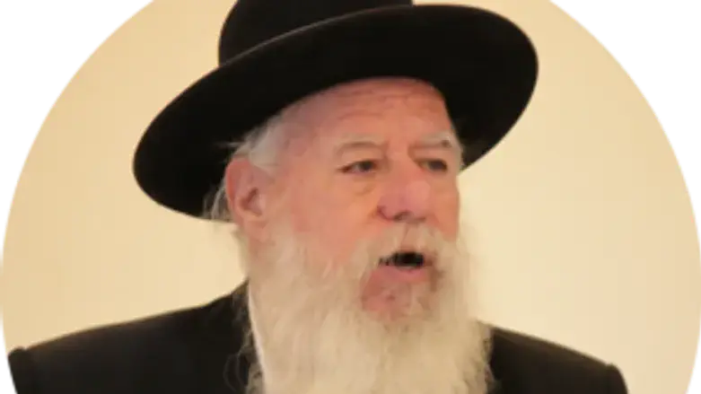 הרב מייטליס