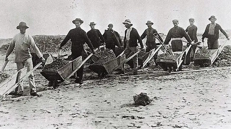 Pioneers in the Land of Israel