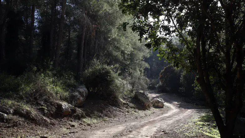 The middle road