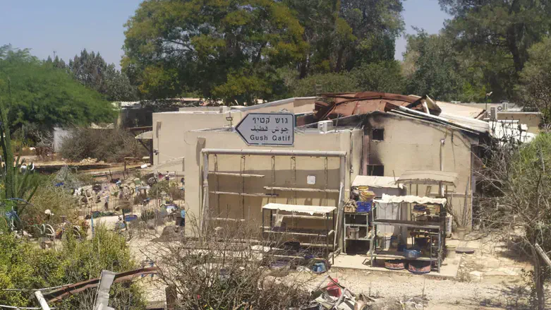 ניר עוז, השבוע