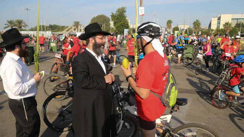 התיקון השלם יהיה בבירור הרוח שלשמה שבנו לארץ. אילוסטרציה