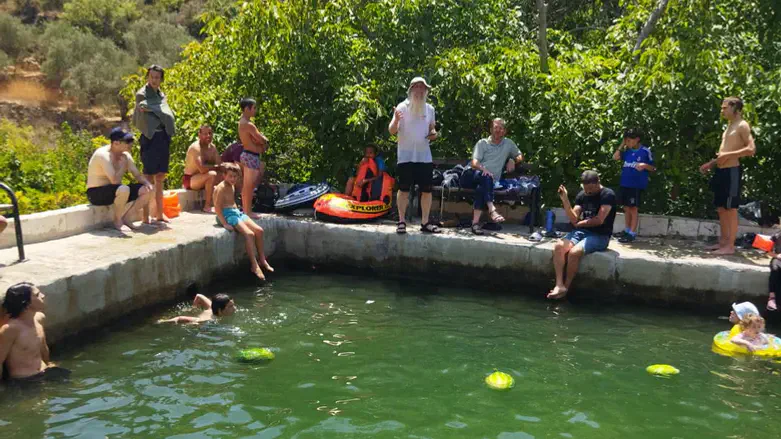 משפחת שנרב במעיין