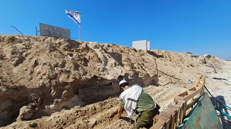 החיילים שותלים עגבניות