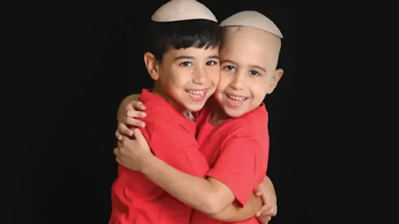 זקוקים להשתלה