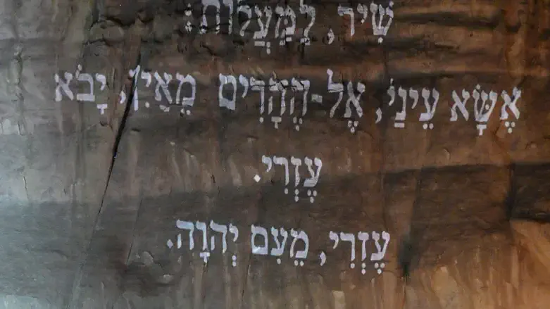 סליחות- בפארק תמנע