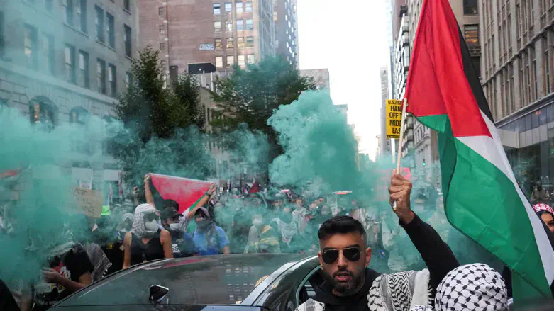 Anti-Israel protesters in New York (archive)