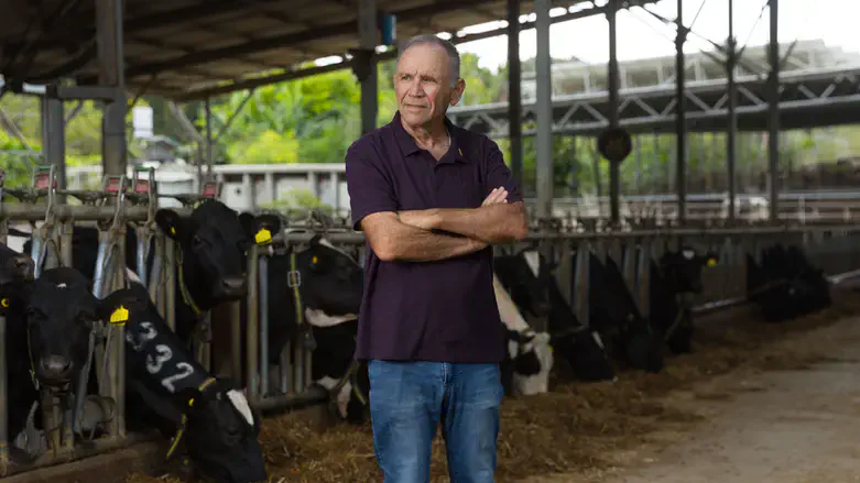 אלי גולדשמידט