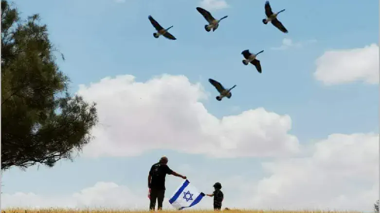 אופקים המקום שלי