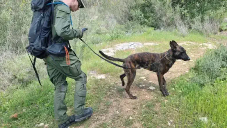 IDU volunteer during the searches