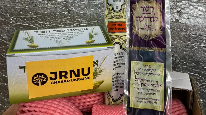 סטים של ארבעת המינים באוקראינה