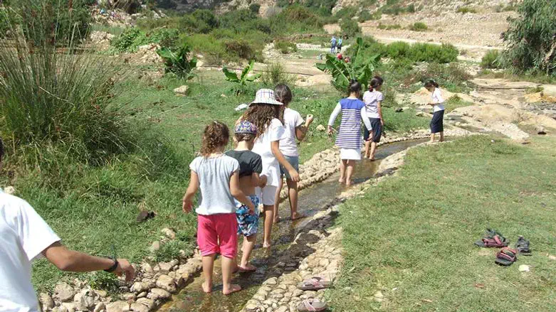 חוגגים בשומרון