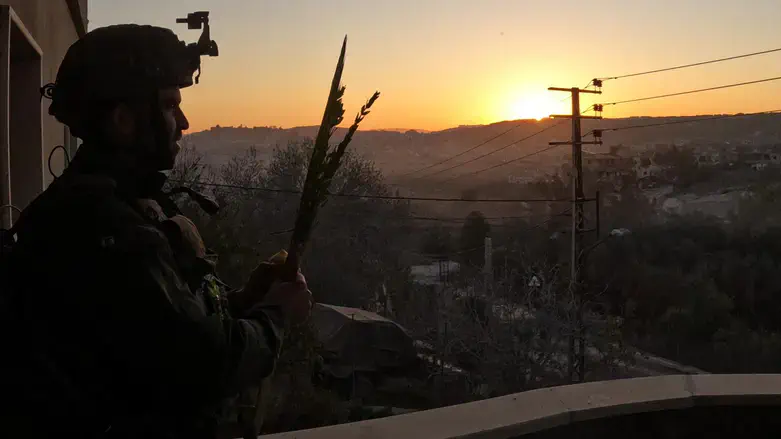 נטילת לולב בלבנון