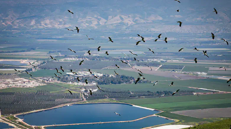 Beit Shean Valley in northern Israel