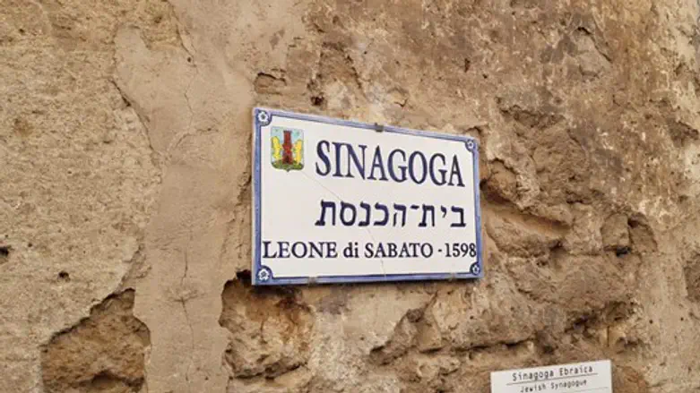 The Ancient Synagogue