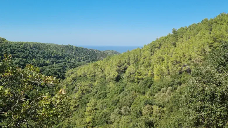 שווצריה הקטנה בכרמל