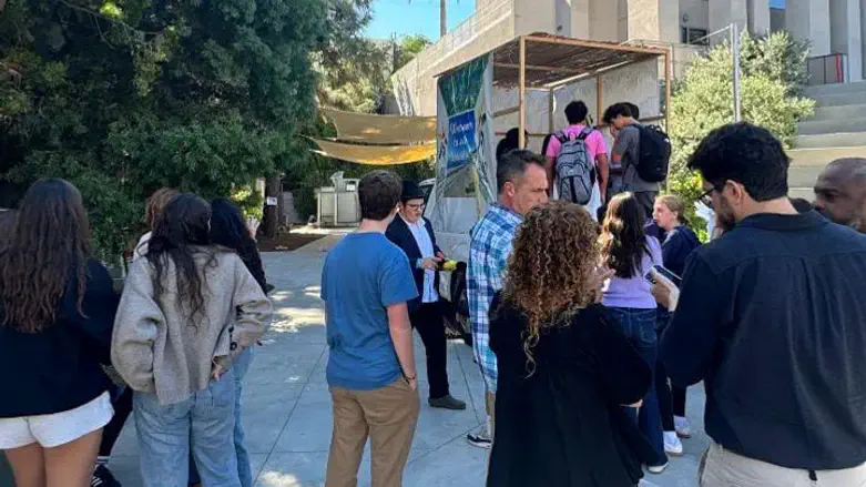 חלק ממשתתפי המיזם