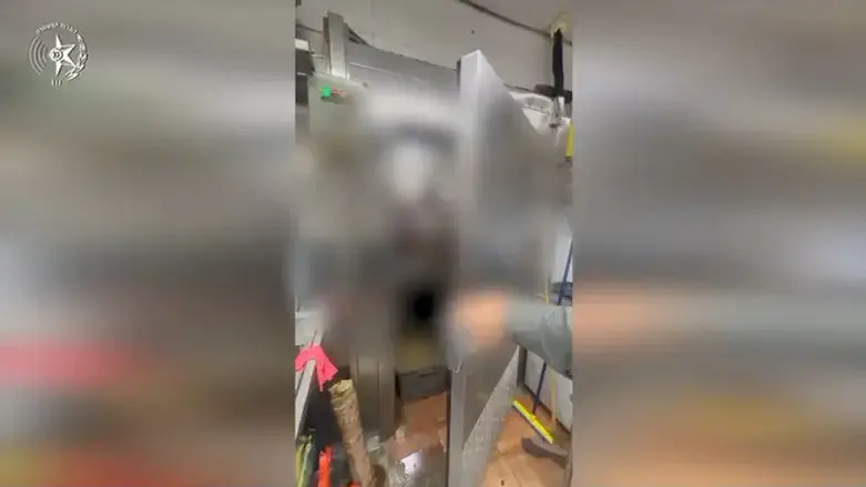 Нелегалы в холодильнике