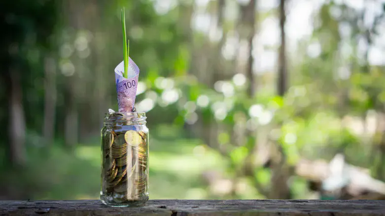 הלוואה בערבות מדינה