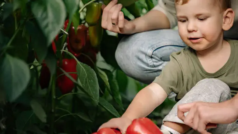 פעילויות חינוכיות שמשלבות הנאה