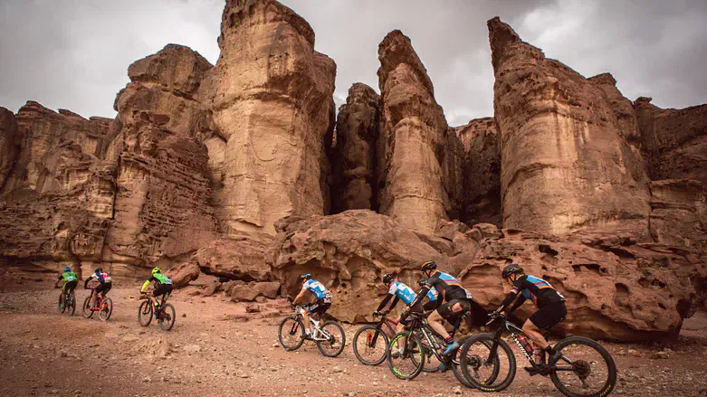 אופניים בפארק תמנע