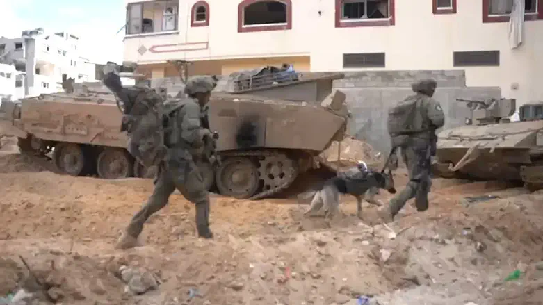 לוחמים של צה"ל. זוכים לאמון גבוה