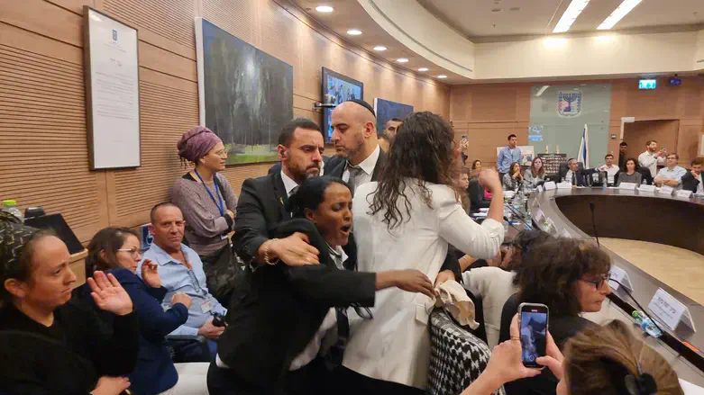 Анжела Метер на заседании комиссии