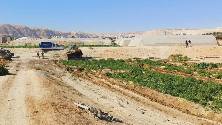 פינוי הפולשים