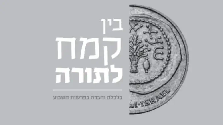 כריכת הספר בין קמח לתורה