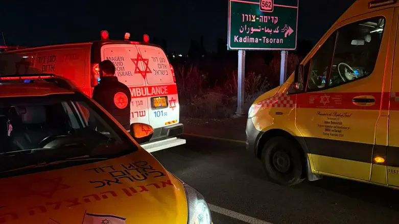 Место происшествия