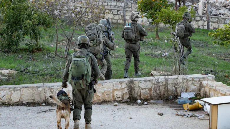 לוחמים בלבנון