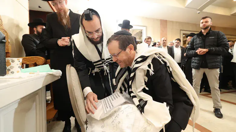 הרצוג בברית