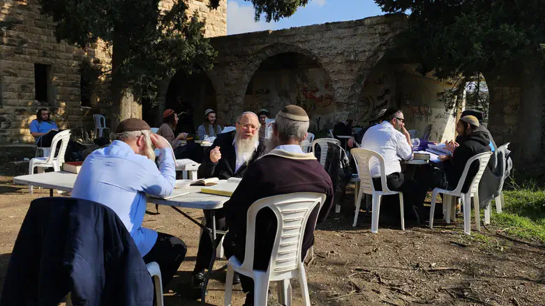 הביקור בשאנור