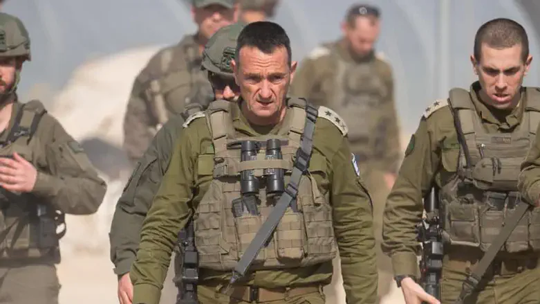 הרצי הלוי