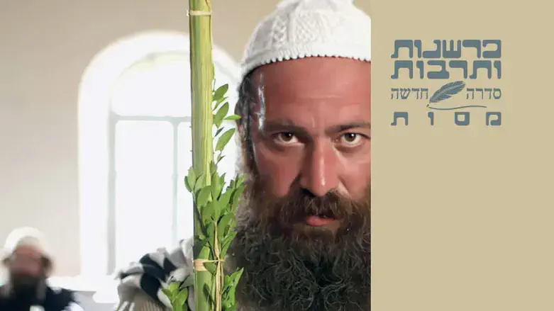 קומוניקט קונילמלים