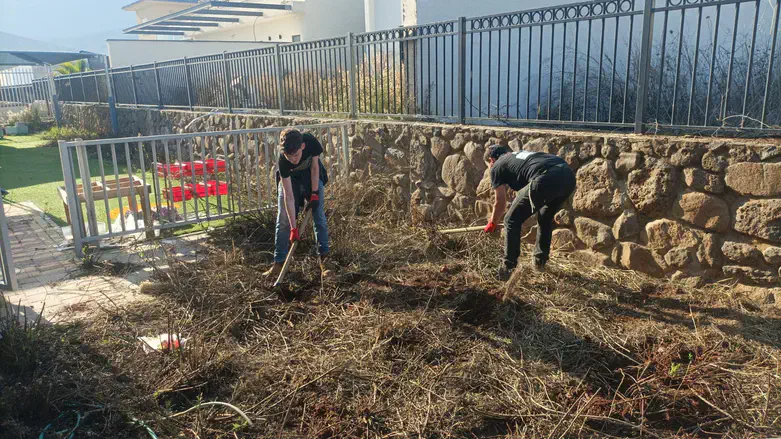תלמידי הישיבה מנקים את העיר