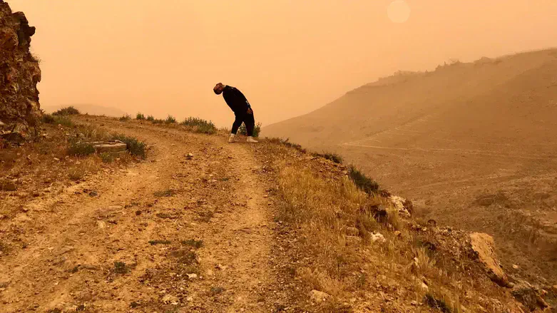 Desert scenes