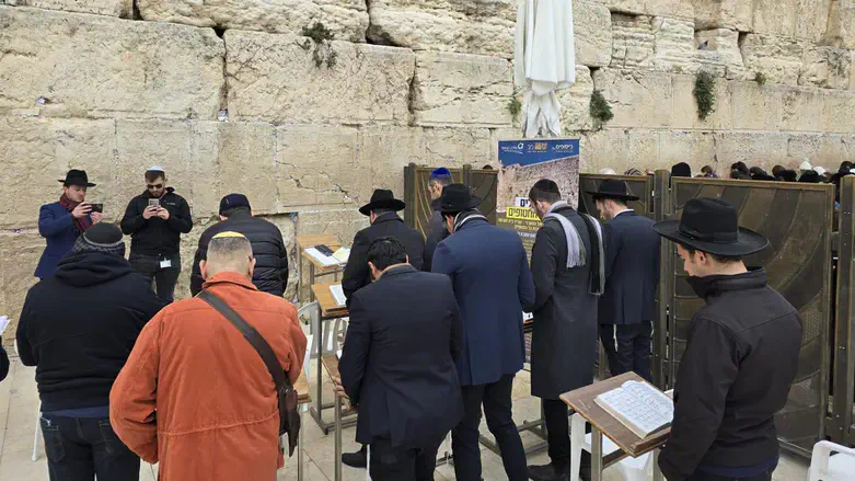 Daily Tehillim Vigil at the Western Wall