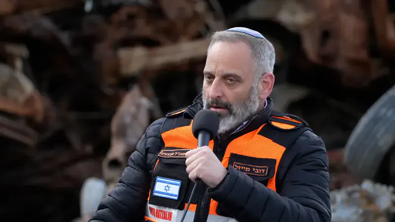 דובי מייזל