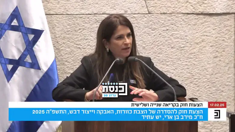 ח"כ בן ארי