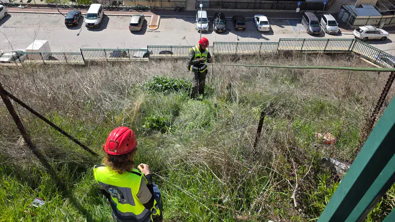 During the search
