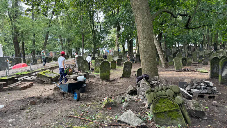 Polish archaeology students at work excavating a Jewish cemetery in Warsaw, September 2024