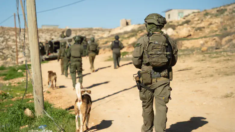 לוחמים ביהודה ושומרון