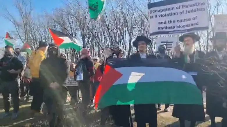 הפגנה אנטי ישראלית מחוץ ליריד העלייה