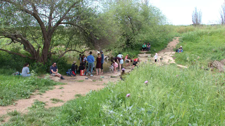קהילה בנחל- נחל חביבה