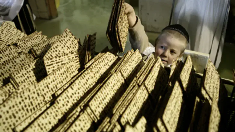 Matza factory
