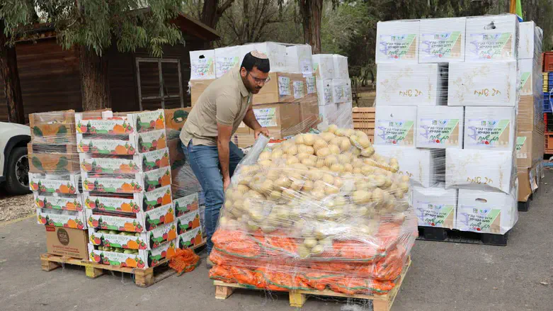 מחלקים מזון לקראת הפסח